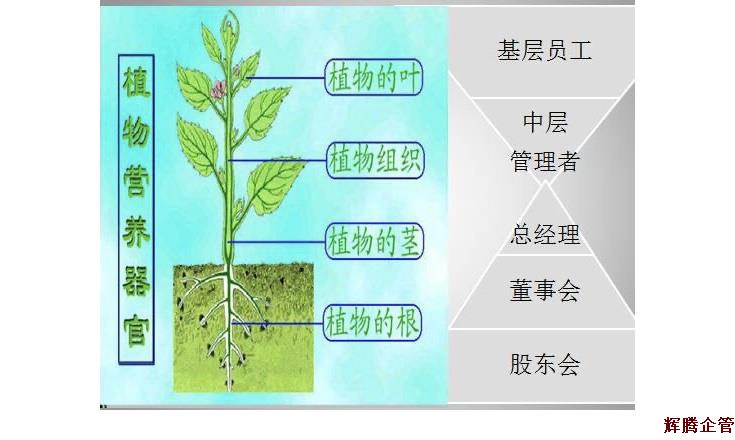 企業與樹.jpg